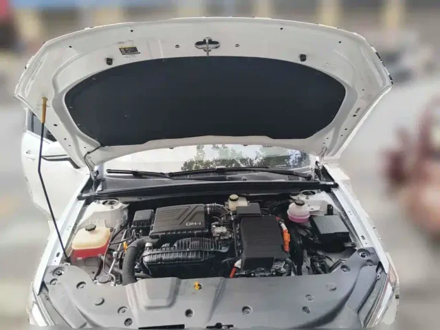 BYD Qin PLUS — Фото автомобиля 3