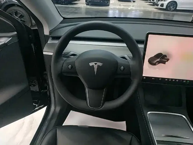 Tesla Model Y — Фото автомобиля 10