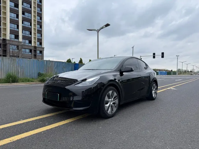 Tesla Model Y — Фото автомобиля 3
