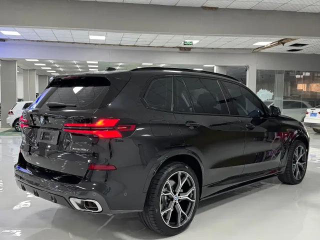 BMW X5 — Фото автомобиля 9