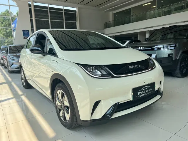 BYD Dolphin — Фото автомобиля 3