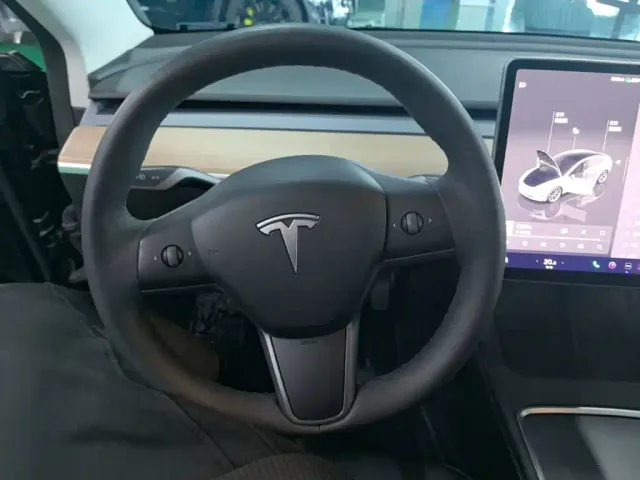 Tesla Model 3 — Фото автомобиля 10