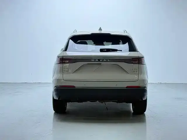 Haval Xiaolong MAX — Фото автомобиля 9
