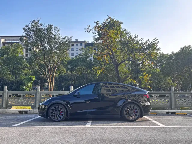 Tesla Model Y — Фото автомобиля 3