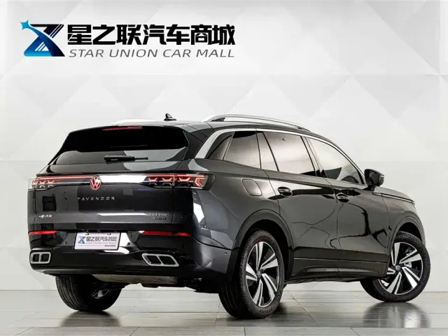 Volkswagen Talagon — Фото автомобиля 6