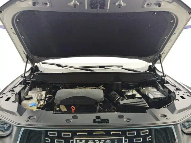 Haval Big Dog — Фото автомобиля 10