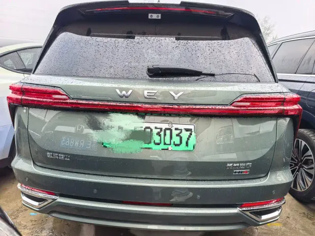 Wey Lanshan — Фото автомобиля 19