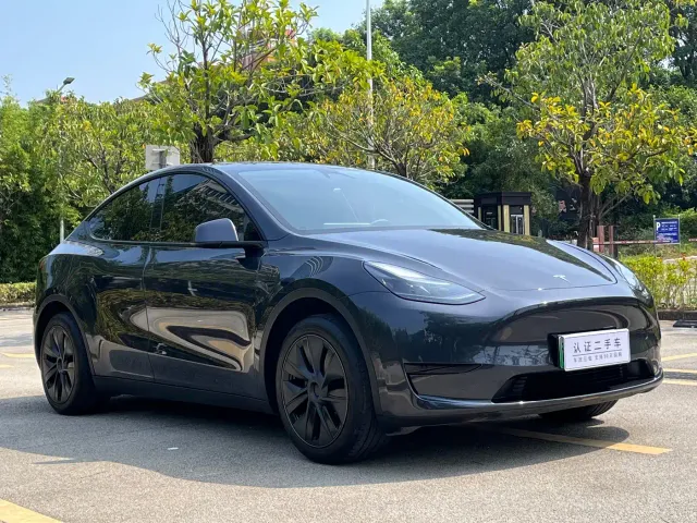 Tesla Model Y — Фото автомобиля 3