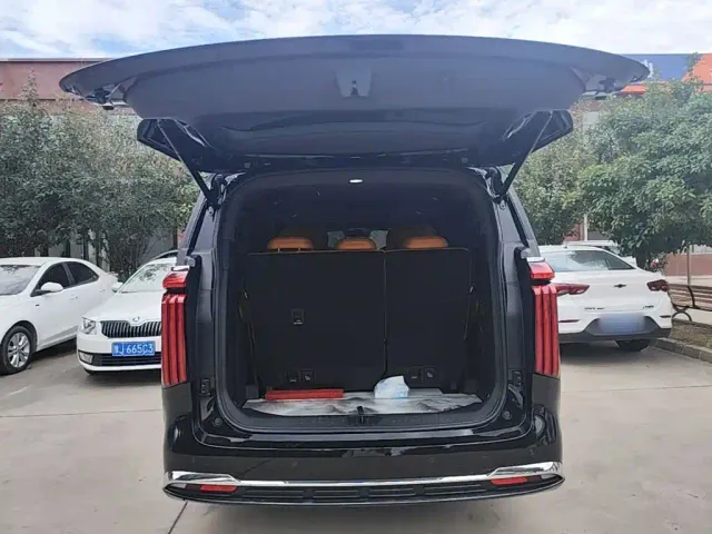 Wey Alpine — Фото автомобиля 18