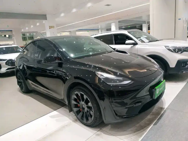 Tesla Model Y — Фото автомобиля 3