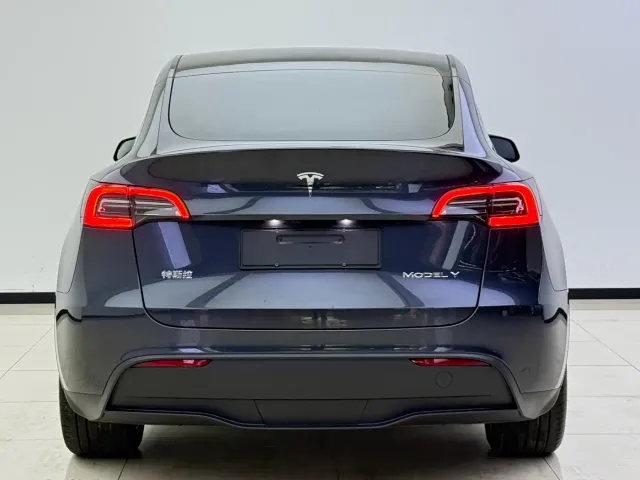 Tesla Model Y — Фото автомобиля 11
