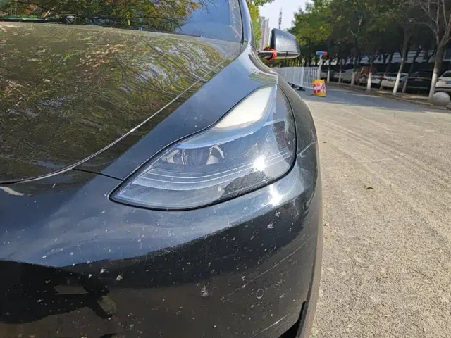 Tesla Model Y — Фото автомобиля 5