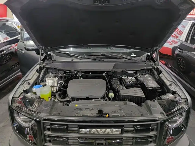 Haval Big Dog — Фото автомобиля 19