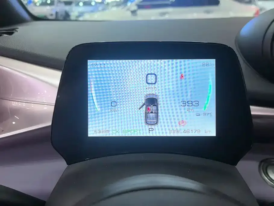 BYD Dolphin 2021 Model 405km Fashion Edition — Фото автомобиля 14