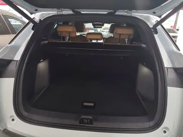 BYD Song L DM-i — Фото автомобиля 18
