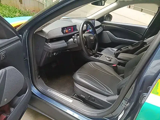 Ford Mustang Mach-E — Фото автомобиля 15