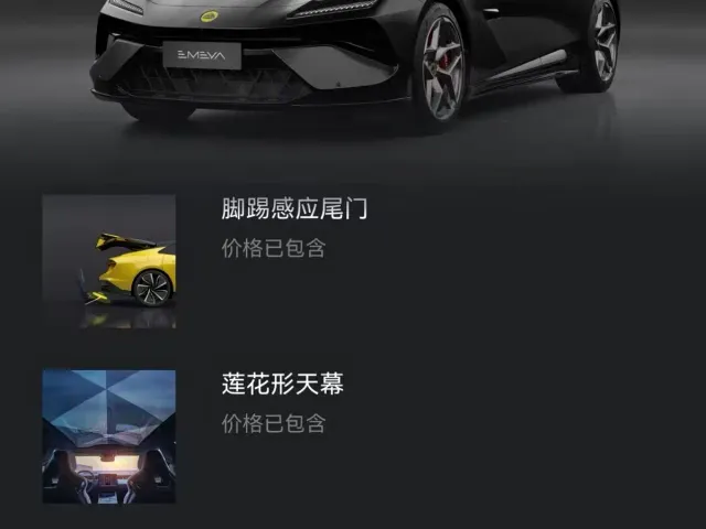 Lotus Emeya — Фото автомобиля 12