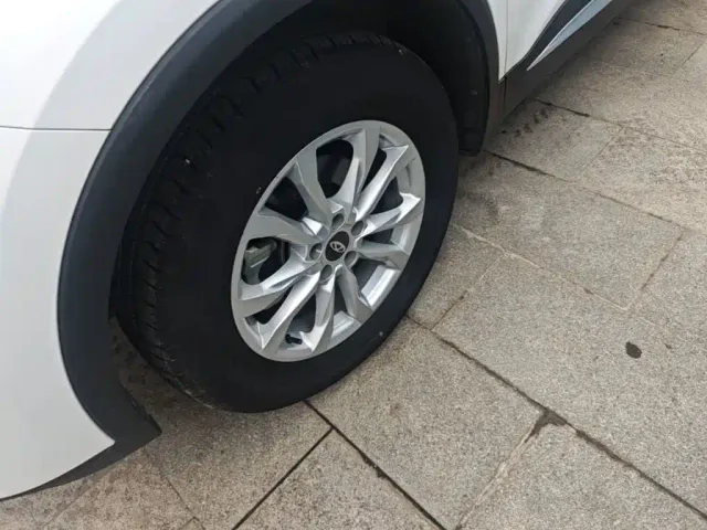 Chery Tiggo 7 — Фото автомобиля 22