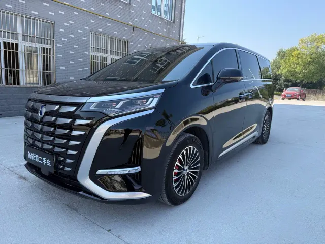 Фотография автомобиля — Denza D9