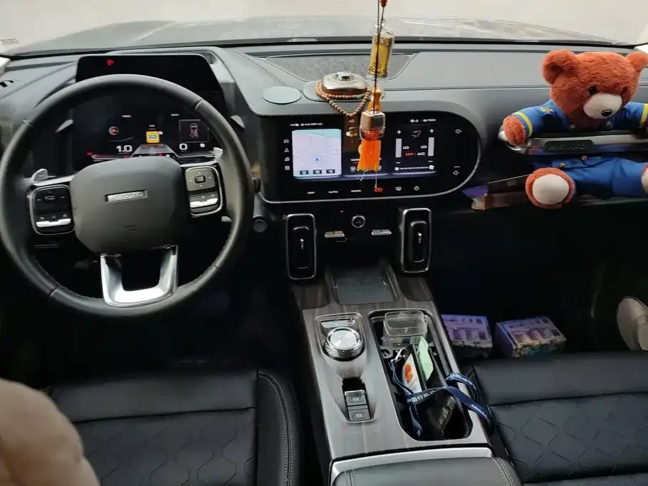 Haval Haval Big Dog 2022 1.5T DCT FWD Border Collie Edition — Фото автомобиля 12