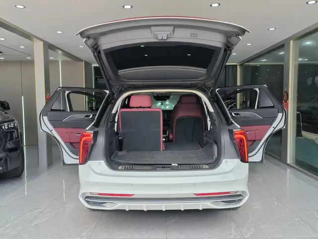 Hongqi E-HS9 — Фото автомобиля 23