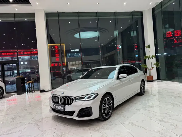BMW 5 Series — Фото автомобиля 3