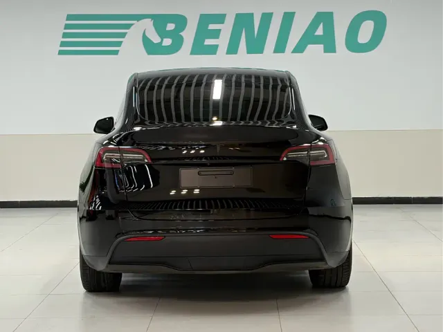 Tesla Model Y — Фото автомобиля 22
