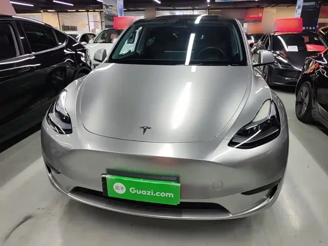 Tesla Model Y — Фото автомобиля 2