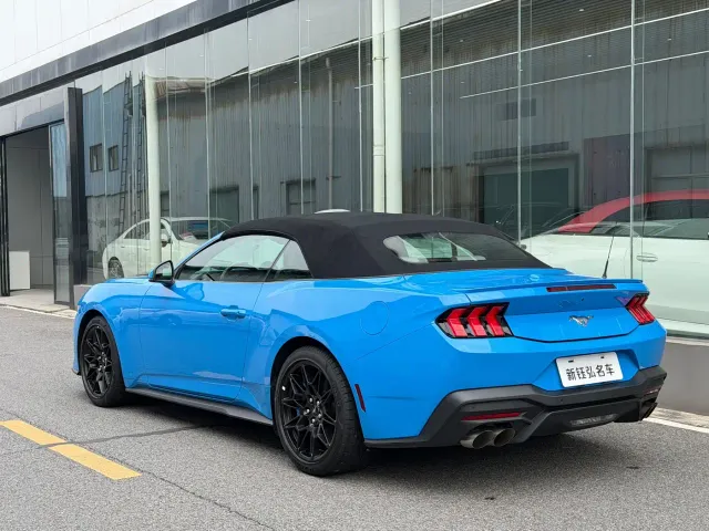 Ford Mustang — Фото автомобиля 14