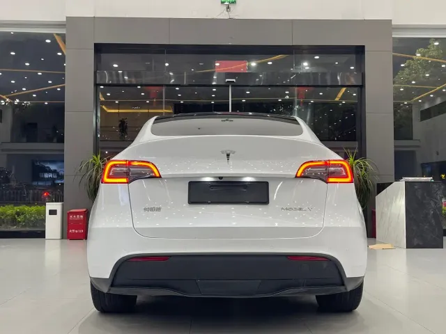 Tesla Model Y — Фото автомобиля 6