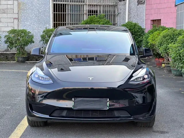 Tesla Model Y — Фото автомобиля 2