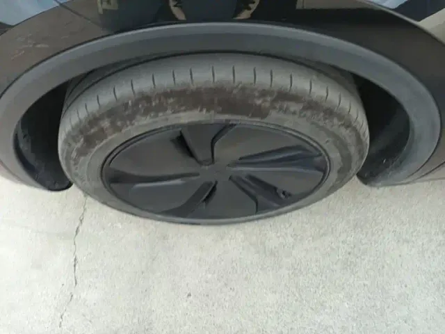 Tesla Model Y — Фото автомобиля 22