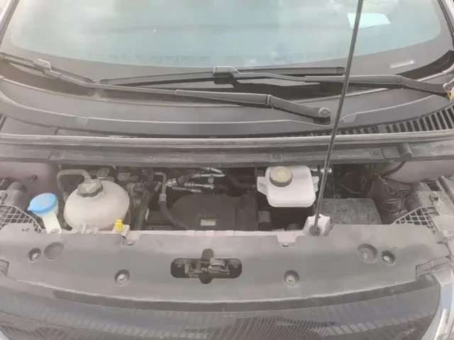 BYD Dolphin — Фото автомобиля 19