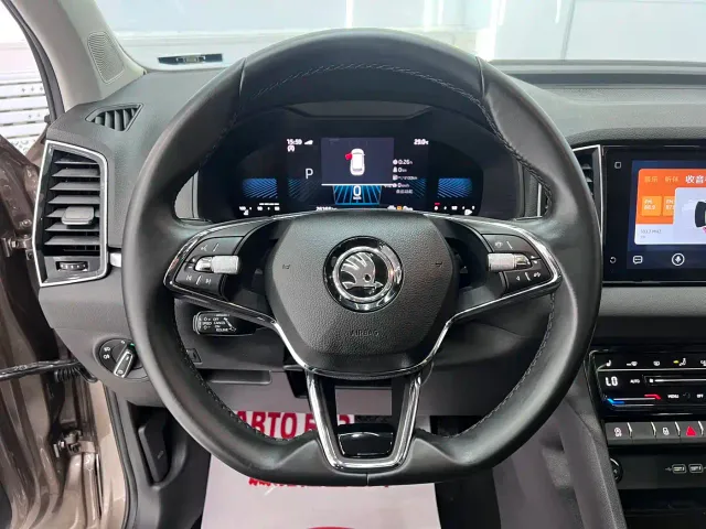 Skoda Karoq — Фото автомобиля 11