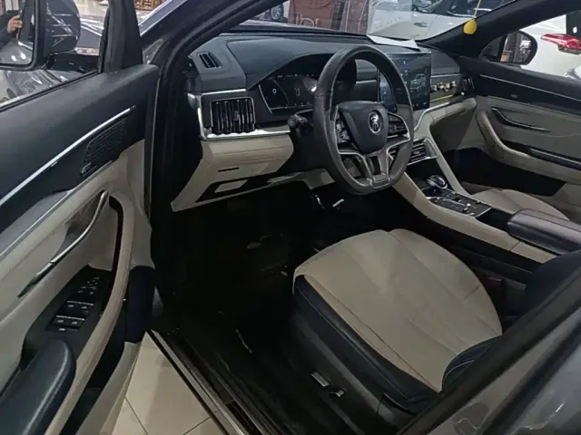 BYD Song PLUS — Фото автомобиля 15