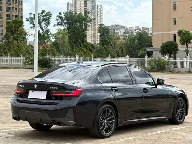 BMW 3 Series — Фото автомобиля 10