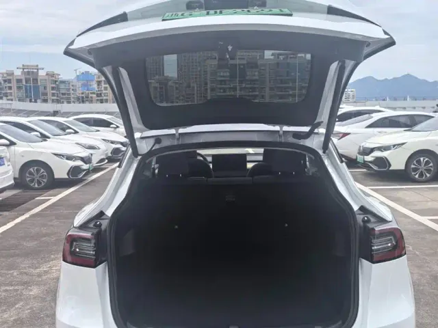 Tesla Model Y — Фото автомобиля 8