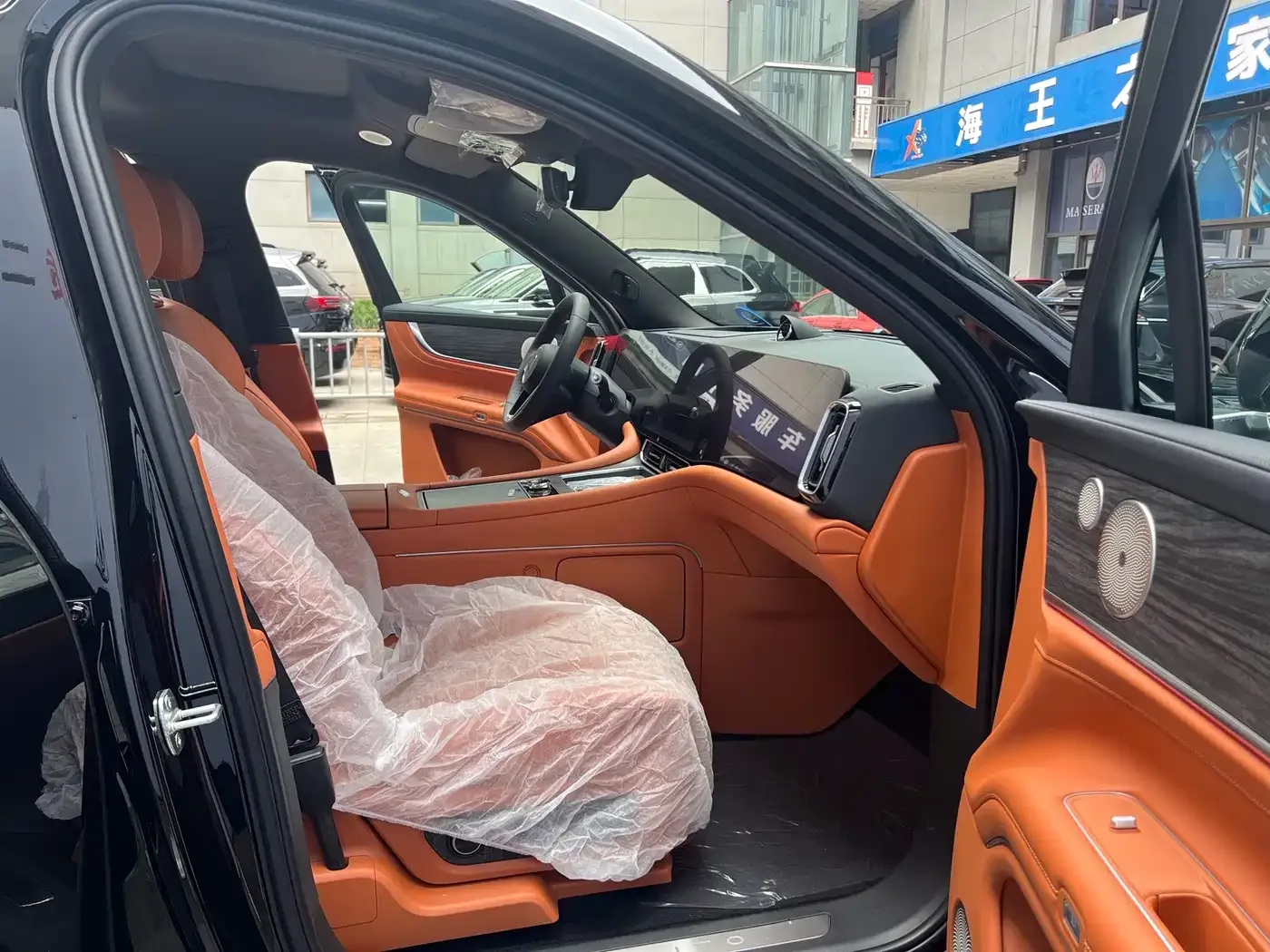 AITO Wenjie AITO M9 2024 Range Extender Max Edition 42kWh 6-seater — Фото автомобиля 11