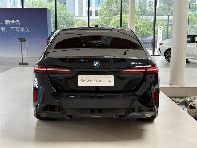 BMW 5 Series — Фото автомобиля 8