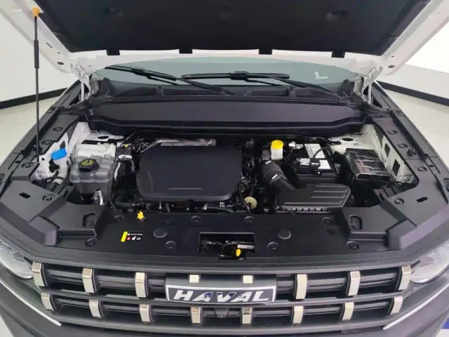 Haval Cool Dog — Фото автомобиля 10