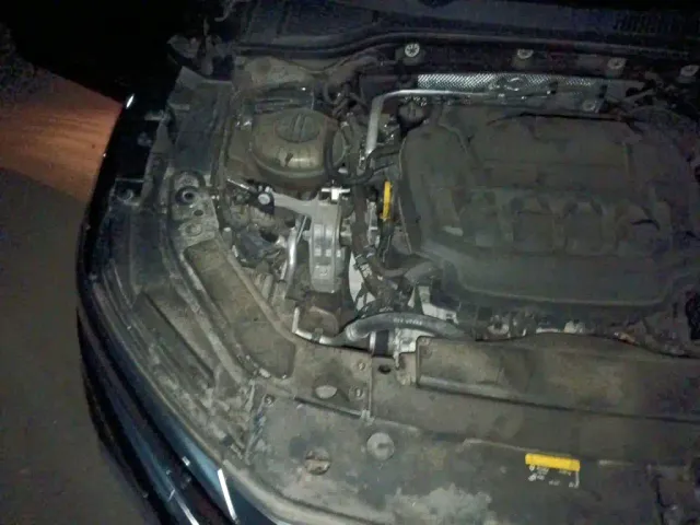 Volkswagen Passat — Фото автомобиля 20
