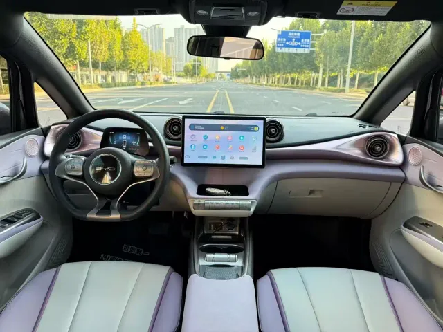 BYD Dolphin — Фото автомобиля 5