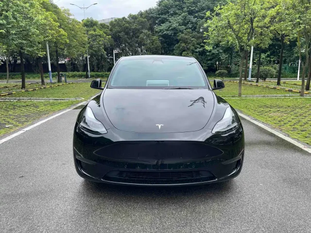 Tesla Model Y — Фото автомобиля 2