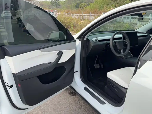 Tesla Model Y — Фото автомобиля 10