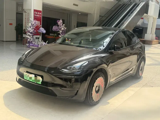 Tesla Model Y — Фото автомобиля 3