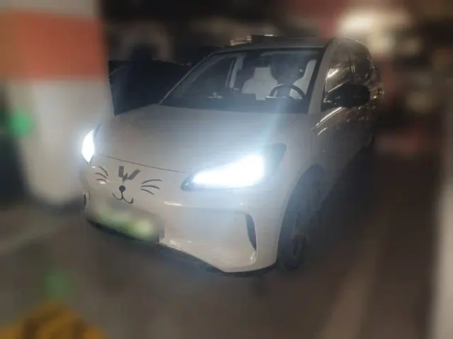 Фотография автомобиля — Wuling Binguo PLUS