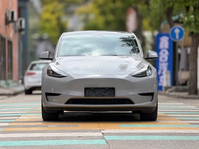Tesla Model Y — Фото автомобиля 2