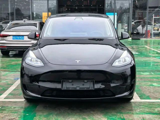 Tesla Model Y — Фото автомобиля 3