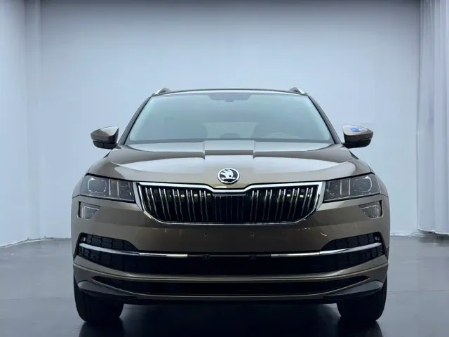Skoda Karoq — Фото автомобиля 4