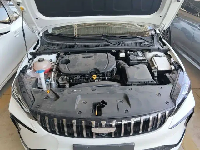 Geely Binrui — Фото автомобиля 19